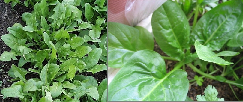 �z�E������