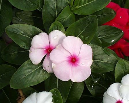 �j�`�j�`�\�E