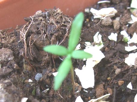 ���i���A